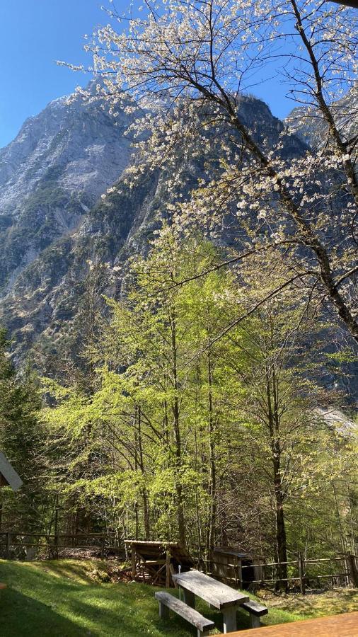 Zadnjica Holiday House Soča Exteriér fotografie