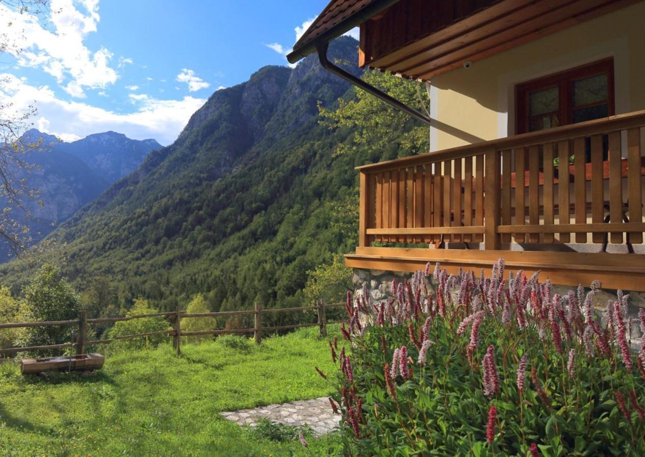 Zadnjica Holiday House Soča Exteriér fotografie